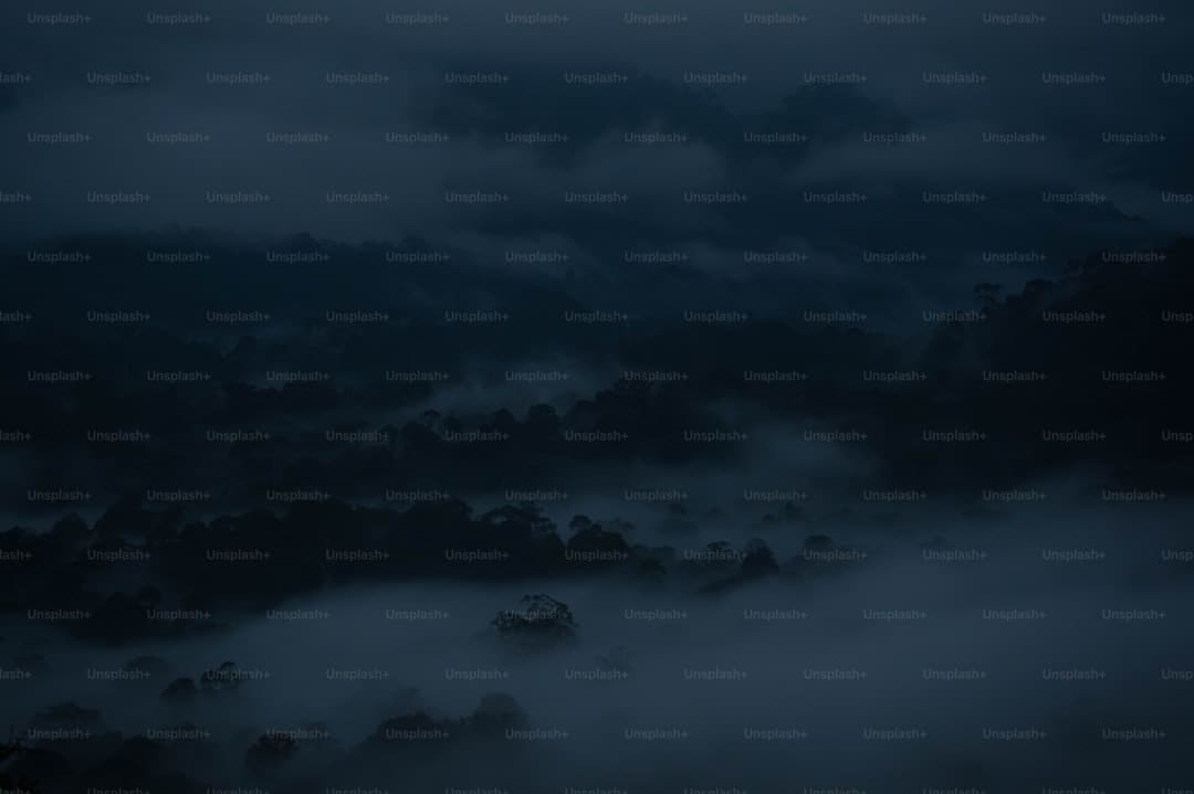 https://static.ws.126.net/163/frontend/images/2022/empty.png